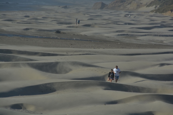 the sand dunes of Nye Beach